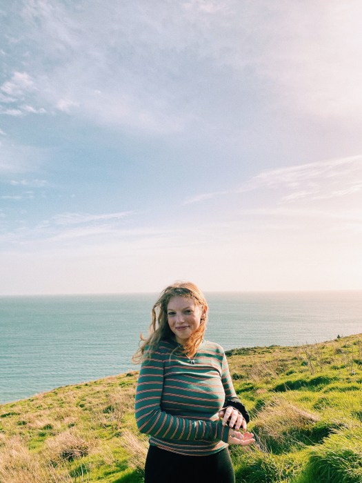 One of the many views that can be seen during the Cliff Walk from Bray to Greystones.