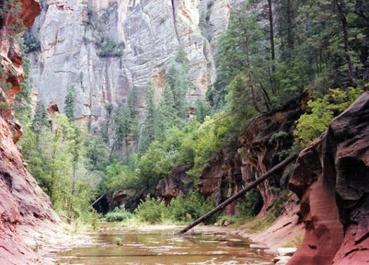 Located between Sedona and Flagstaff, Oak Creek Canyon is the largest canyon in the Arizona red rock country.